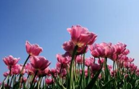 Meteo: Cum va fi vremea la inceputul saptamanii?