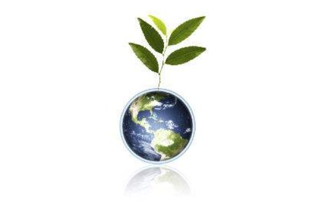 Sase tendinde in strategiile "verzi" ale companiilor la nivel global