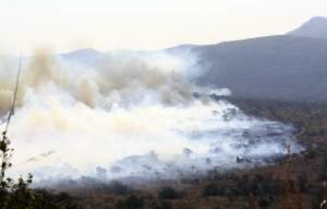 Mures: Castel de 500 de ani, distrus de un incendiu de vegetatie