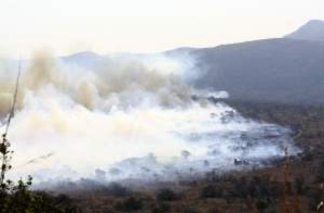 Mures: Castel de 500 de ani, distrus de un incendiu de vegetatie