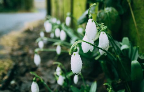 Prognoza meteo pana pe 10 martie