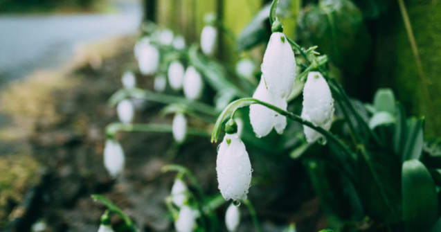 Prognoza meteo pana pe 10 martie