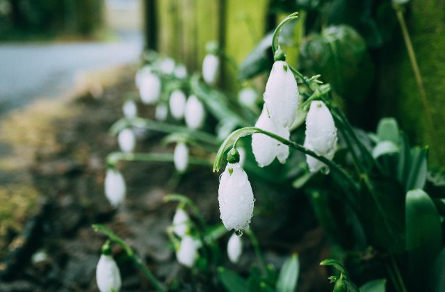 Prognoza meteo pana pe 10 martie. Se vor inregistra temperaturi de pana la 15 grade