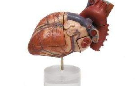 Operatia lui Ioanitoaia, incheiata cu succes