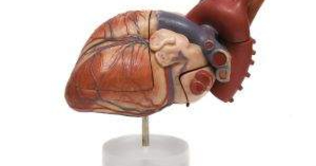 Operatia lui Ioanitoaia, incheiata cu succes