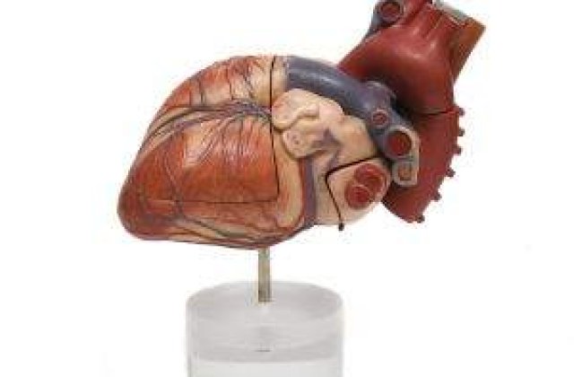 Operatia lui Ioanitoaia, incheiata cu succes