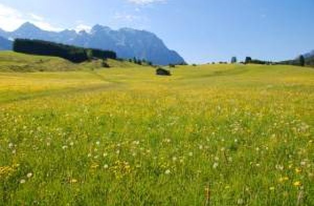 Meteo: Cum va fi vremea la mijlocul saptamanii?