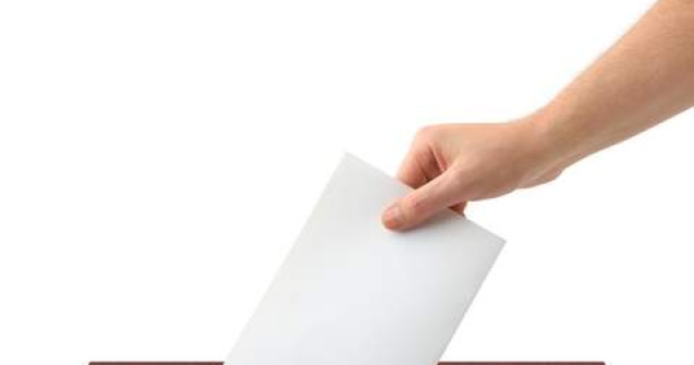 Nicolicea, UNPR: Pragul de vot trebuie coborat la 16 ani