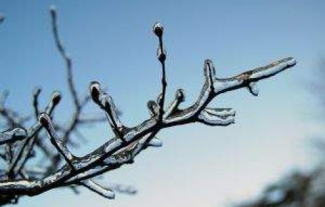 ANM: Iarna poate reveni, dar nu cu aceeasi forta