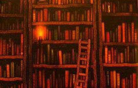 Cum influenteaza bibliotecile viata populatiei din Romania?