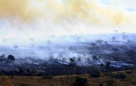 Avertizare: Incendierea miristilor poate produce accidente grave