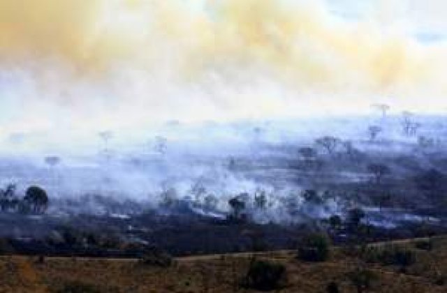 Avertizare: Incendierea miristilor poate produce accidente grave