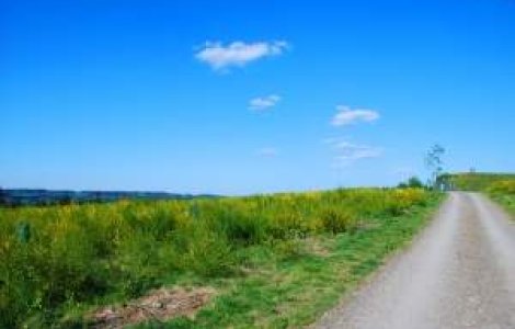 Meteo: Finalul lunii martie aduce vreme frumoasa