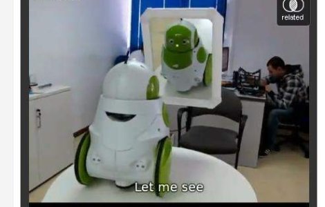  Video  Cum reactioneaza un robot cand se vede in oglinda?