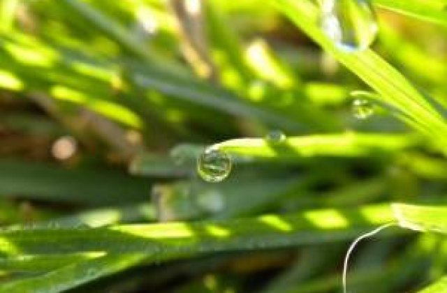 Europenii, ingrijorati din cauza problemelor legate de apa