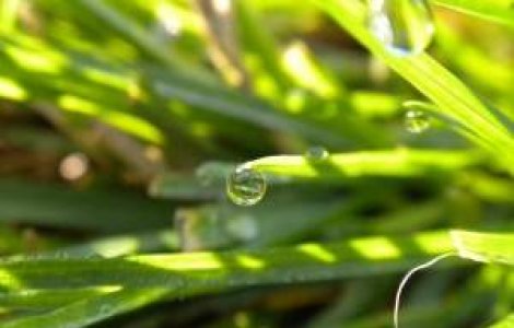 Europenii, ingrijorati din cauza problemelor legate de apa