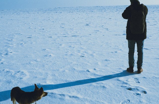 Un barbat si cainele sau, care au ramas blocati timp de 5 zile in zapada, au supravietuit doar cu sos pentru taco
