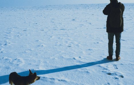 Un barbat si cainele sau, care au ramas blocati timp de 5 zile in zapada, au supravietuit doar cu sos pentru taco