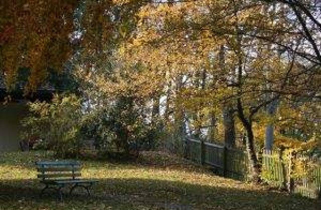 [VIDEO] Cum va arata cel mai nou parc din Bucuresti?