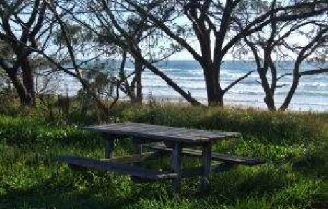 De ce nu se poate aplica Legea Picnicului?