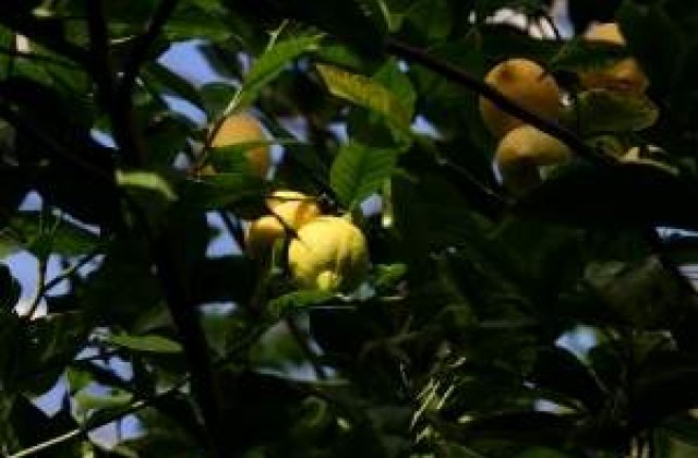 Peste 60% din comerciantii de produse ecologice insala consumatorii