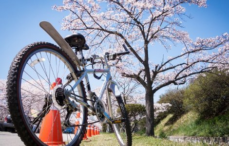 Se incalzeste vremea. Prognoza meteo pana pe 17 martie