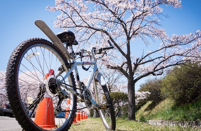 Se incalzeste vremea. Prognoza meteo pana pe 17 martie