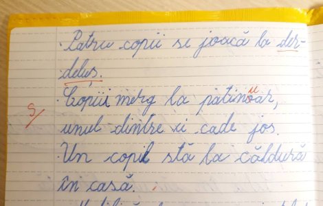 Un profesor din Iasi a corectat cuvantul "patinoar"