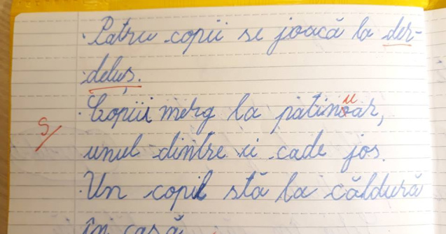Un profesor din Iasi a corectat cuvantul "patinoar"