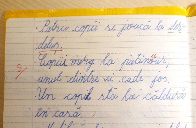 Un profesor din Iasi a corectat cuvantul "patinoar"