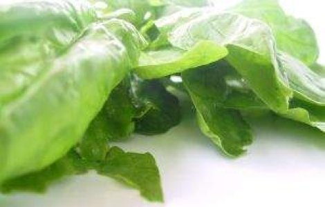 Beneficiile spanacului pentru sanatatea noastra