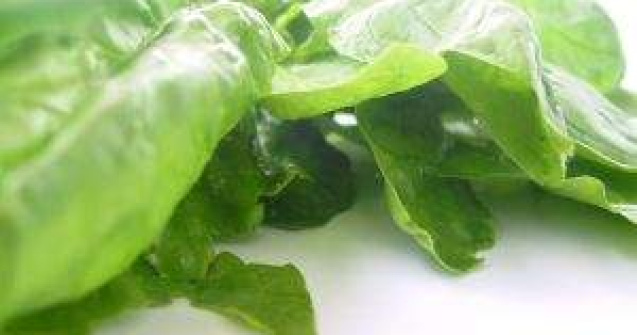 Beneficiile spanacului pentru sanatatea noastra