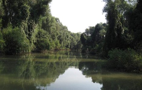 In lipsa de medici, MS apeleaza la telemedicina pentru Delta Dunarii