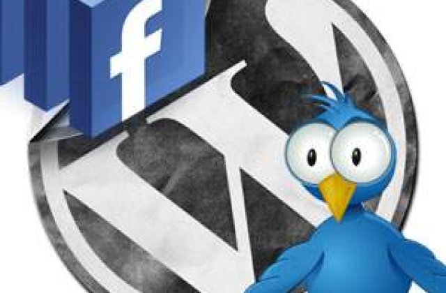 Infografic: Parlamentarii romani pe Internet