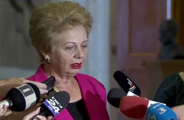 Doina Pana (PSD), despre Dancila: "Nu participa la vreo olimpiada de limba romana. Absolut toata lumea face cate un dezacord"