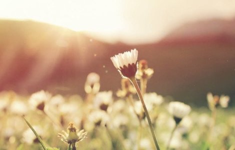 Vreme deosebit de calda pentru aceasta perioada in Capitala, duminica si luni