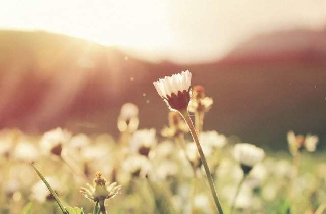 Vreme deosebit de calda pentru aceasta perioada in Capitala, duminica si luni