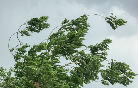 Cod galben de vant puternic in 27 de judete, pana luni dupa-amiaza