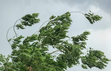 Cod galben de vant puternic in 27 de judete, pana luni dupa-amiaza