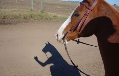  Top  10+ imagini amuzante care te-ar putea face sa te indoiesti de ceea ce vezi