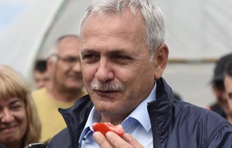 Liviu Dragnea vrea sa refaca reteaua de aprozare: Am intrat in UE dar nu suntem obligati sa mancam absolut toate e-urile