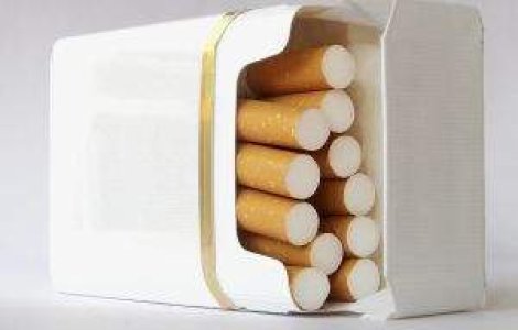 Captura de tigarete in valoare de 1 mil. euro