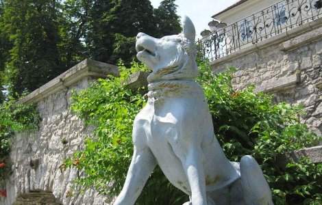 Monument dedicat unui caine erou, in Bucuresti