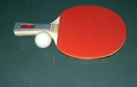 Tenis de masa: Romania, invinsa de Polonia