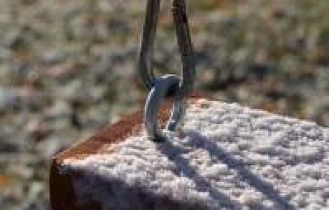 Ben Laden a avut patru copii cat a stat ascuns in Pakistan