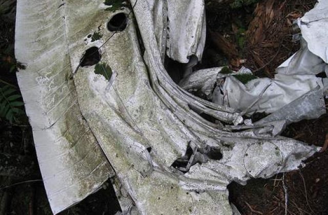 Accident aviatic in Siberia: Peste 30 de morti