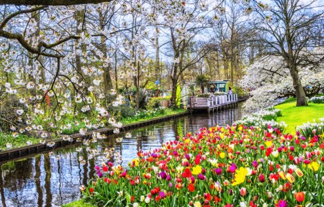  Top  10+ orase pline de culoare pe care sa le vizitezi primavara