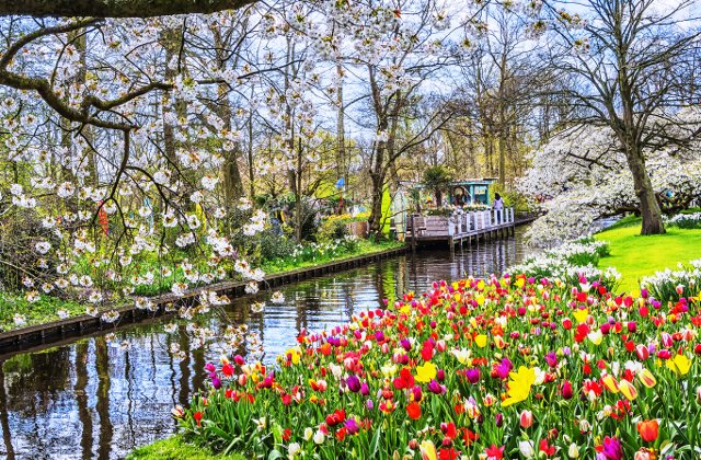 10+ orase pline de culoare pe care sa le vizitezi primavara