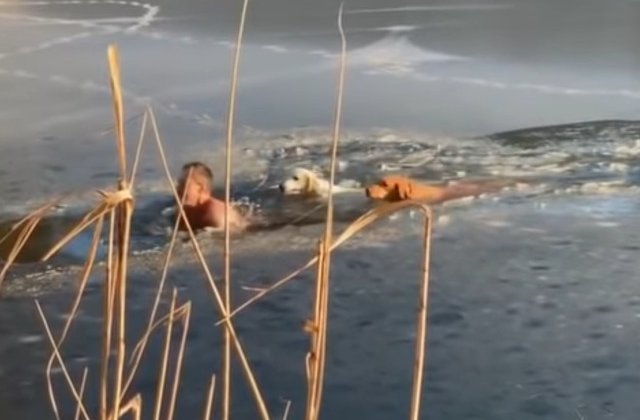 Un barbat a sarit intr-un lac inghetat pentru a salva doi caini/ VIDEO