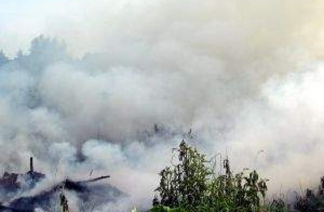 Recompensa pentru cine denunta incendiatorii de miriste